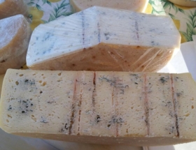 Pecorino erborinato